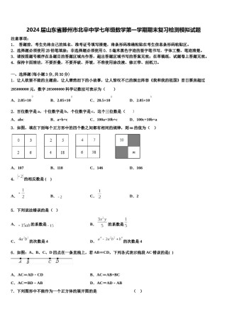2024届山东省滕州市北辛中学七年级数学第一学期期末复习检测模拟试题含解析.doc