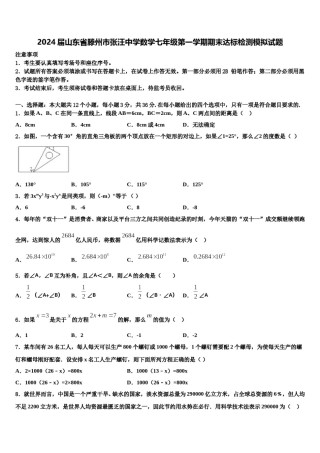 2024届山东省滕州市张汪中学数学七年级第一学期期末达标检测模拟试题含解析.doc