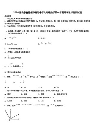 2024届山东省滕州市鲍沟中学七年级数学第一学期期末达标测试试题含解析.doc