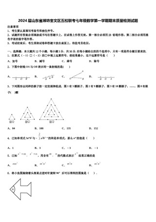 2024届山东省潍坊奎文区五校联考七年级数学第一学期期末质量检测试题含解析.doc