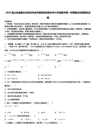 2024届山东省烟台市招远市金岭镇邵家初级中学七年级数学第一学期期末经典模拟试题含解析.doc