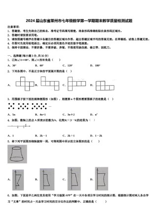 2024届山东省莱州市七年级数学第一学期期末教学质量检测试题含解析.doc