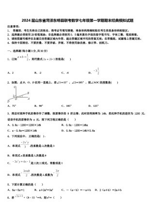 2024届山东省菏泽东明县联考数学七年级第一学期期末经典模拟试题含解析.doc