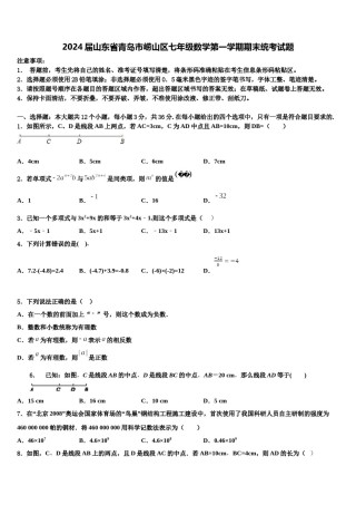 2024届山东省青岛市崂山区七年级数学第一学期期末统考试题含解析.doc