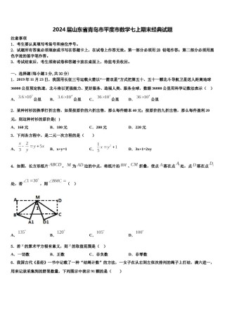 2024届山东省青岛市平度市数学七上期末经典试题含解析.doc