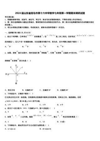 2024届山东省青岛市第十六中学数学七年级第一学期期末调研试题含解析.doc