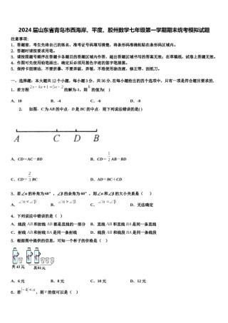 2024届山东省青岛市西海岸、平度、胶州数学七年级第一学期期末统考模拟试题含解析.doc