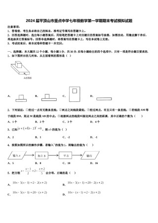 2024届平顶山市重点中学七年级数学第一学期期末考试模拟试题含解析.doc