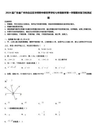 2024届广东省广州市白云区华师附中新世界学校七年级数学第一学期期末复习检测试题含解析.doc