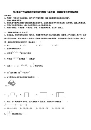 2024届广东省廉江市实验学校数学七年级第一学期期末统考模拟试题含解析.doc