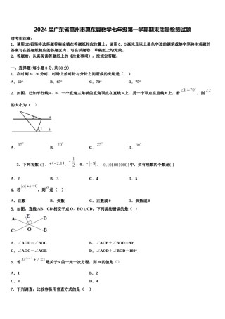 2024届广东省惠州市惠东县数学七年级第一学期期末质量检测试题含解析.doc