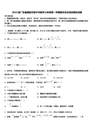 2024届广东省揭阳市普宁市数学七年级第一学期期末综合测试模拟试题含解析.doc