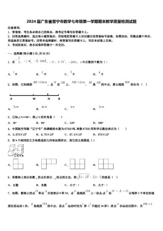 2024届广东省普宁市数学七年级第一学期期末教学质量检测试题含解析.doc