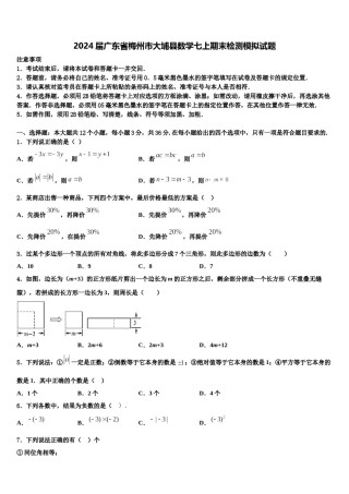 2024届广东省梅州市大埔县数学七上期末检测模拟试题含解析.doc