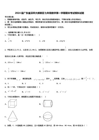 2024届广东省深圳大鹏新区七年级数学第一学期期末考试模拟试题含解析.doc