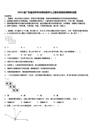 2024届广东省深圳市光明区数学七上期末质量检测模拟试题含解析.doc