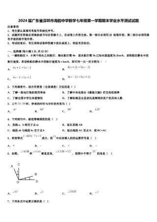 2024届广东省深圳市海韵中学数学七年级第一学期期末学业水平测试试题含解析.doc