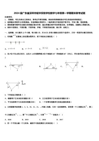 2024届广东省深圳市耀华实验学校数学七年级第一学期期末联考试题含解析.doc