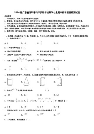 2024届广东省深圳市龙华实验学校数学七上期末教学质量检测试题含解析.doc