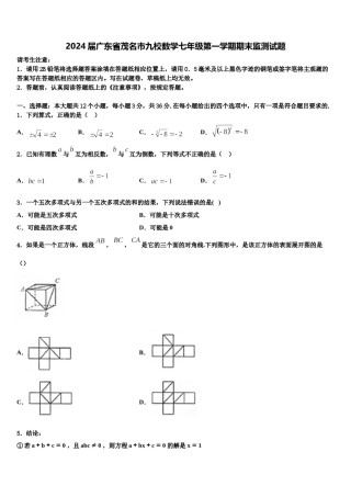 2024届广东省茂名市九校数学七年级第一学期期末监测试题含解析.doc