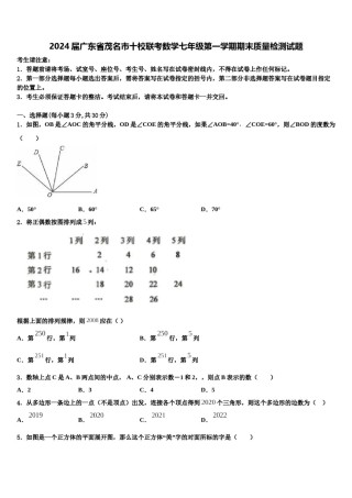 2024届广东省茂名市十校联考数学七年级第一学期期末质量检测试题含解析.doc