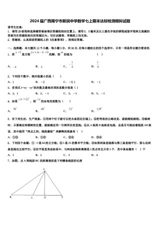 2024届广西南宁市新民中学数学七上期末达标检测模拟试题含解析.doc