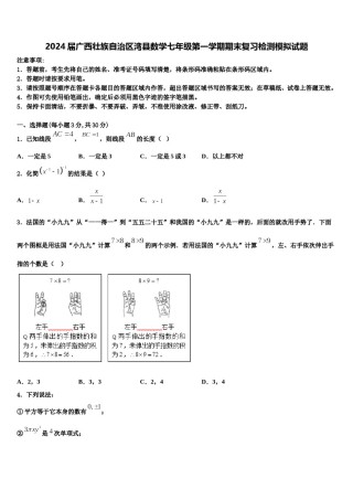 2024届广西壮族自治区湾县数学七年级第一学期期末复习检测模拟试题含解析.doc