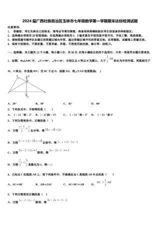 2024届广西壮族自治区玉林市七年级数学第一学期期末达标检测试题含解析.doc