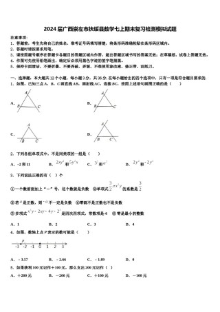 2024届广西崇左市扶绥县数学七上期末复习检测模拟试题含解析.doc
