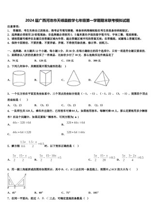 2024届广西河池市天峨县数学七年级第一学期期末联考模拟试题含解析.doc