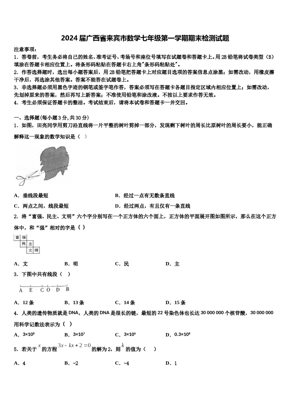 2024届广西省来宾市数学七年级第一学期期末检测试题含解析.doc_第1页