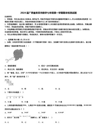2024届广西省来宾市数学七年级第一学期期末检测试题含解析.doc