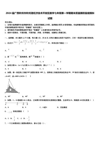 2024届广西钦州市钦州港经济技术开发区数学七年级第一学期期末质量跟踪监视模拟试题含解析.doc