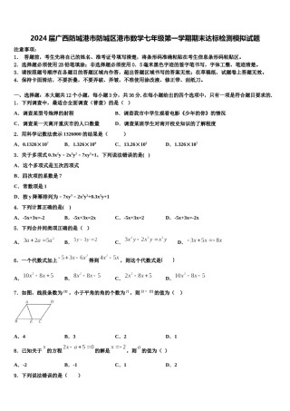2024届广西防城港市防城区港市数学七年级第一学期期末达标检测模拟试题含解析.doc