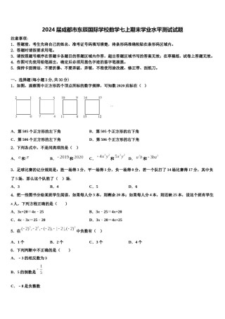 2024届成都市东辰国际学校数学七上期末学业水平测试试题含解析.doc