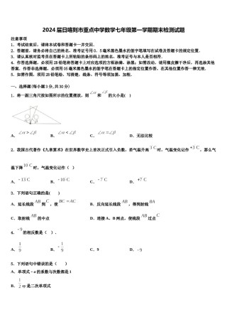 2024届日喀则市重点中学数学七年级第一学期期末检测试题含解析.doc