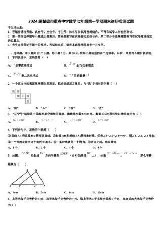 2024届楚雄市重点中学数学七年级第一学期期末达标检测试题含解析.doc