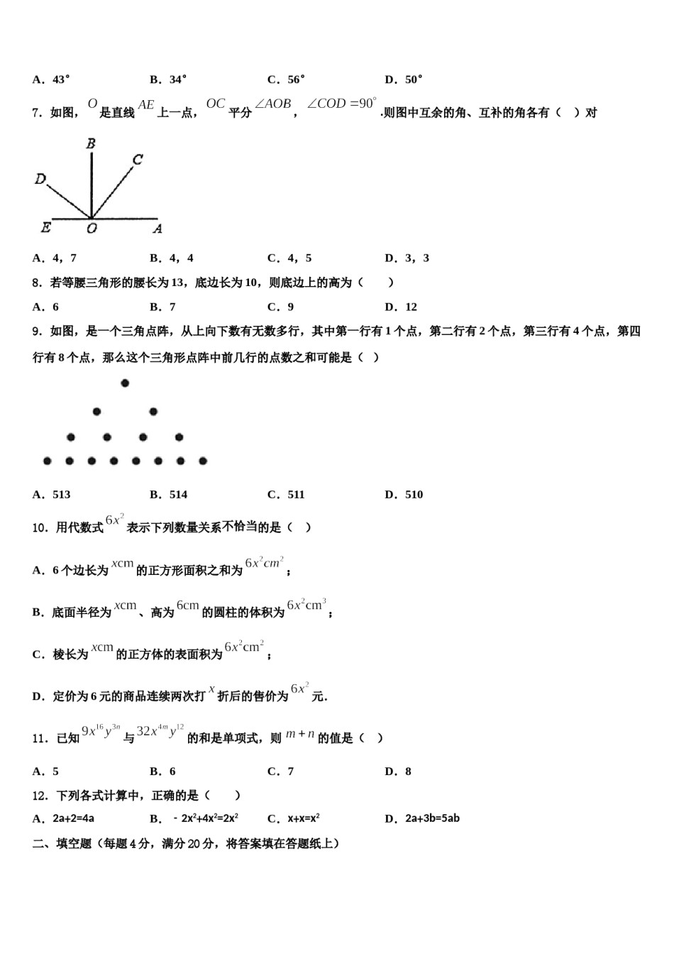 2024届江苏省东台市实验中学数学七年级第一学期期末质量跟踪监视模拟试题含解析.doc_第2页