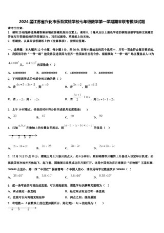 2024届江苏省兴化市乐吾实验学校七年级数学第一学期期末联考模拟试题含解析.doc