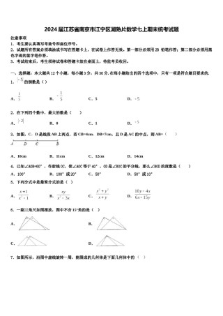 2024届江苏省南京市江宁区湖熟片数学七上期末统考试题含解析.doc