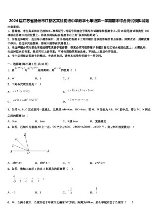 2024届江苏省扬州市江都区实验初级中学数学七年级第一学期期末综合测试模拟试题含解析.doc
