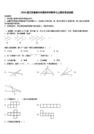 2024届江苏省泰兴市黄桥中学数学七上期末考试试题含解析.doc