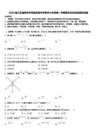 2024届江苏省泰州市凤凰初级中学数学七年级第一学期期末综合测试模拟试题含解析.doc