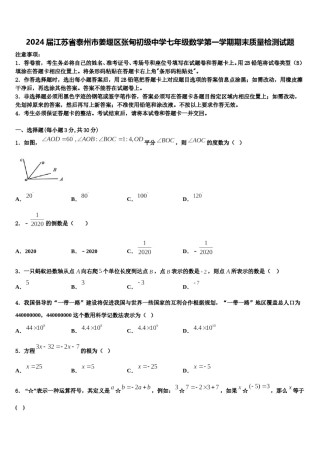 2024届江苏省泰州市姜堰区张甸初级中学七年级数学第一学期期末质量检测试题含解析.doc