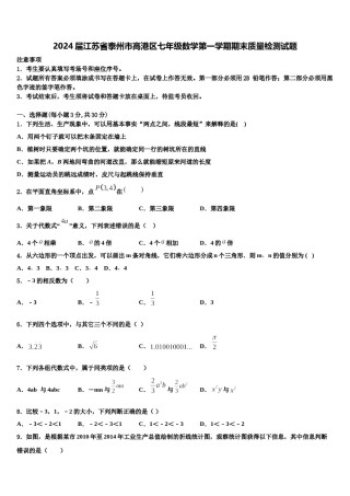 2024届江苏省泰州市高港区七年级数学第一学期期末质量检测试题含解析.doc