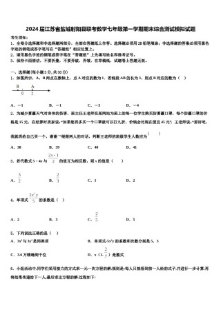 2024届江苏省盐城射阳县联考数学七年级第一学期期末综合测试模拟试题含解析.doc