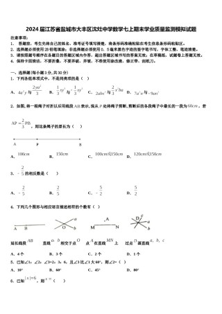 2024届江苏省盐城市大丰区沈灶中学数学七上期末学业质量监测模拟试题含解析.doc