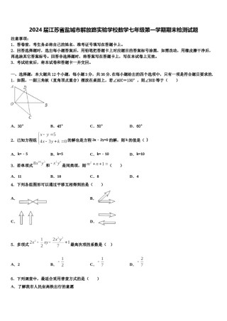 2024届江苏省盐城市解放路实验学校数学七年级第一学期期末检测试题含解析.doc