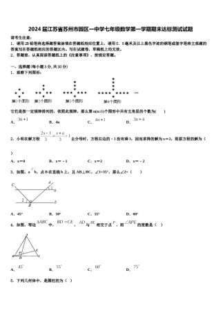 2024届江苏省苏州市园区一中学七年级数学第一学期期末达标测试试题含解析.doc
