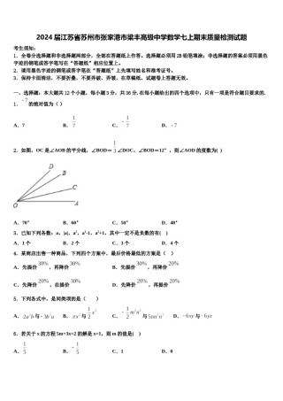 2024届江苏省苏州市张家港市梁丰高级中学数学七上期末质量检测试题含解析.doc